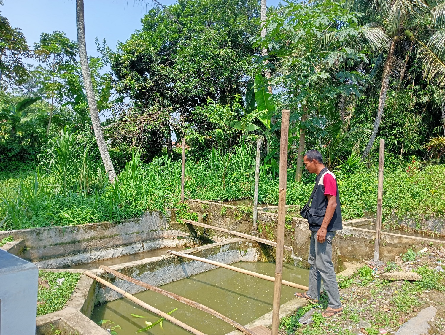 Perkebunan Desa Cinangneng